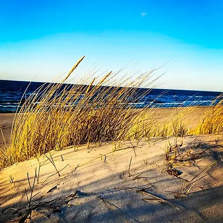 Seaview Gardenia - Widok Na Morze *