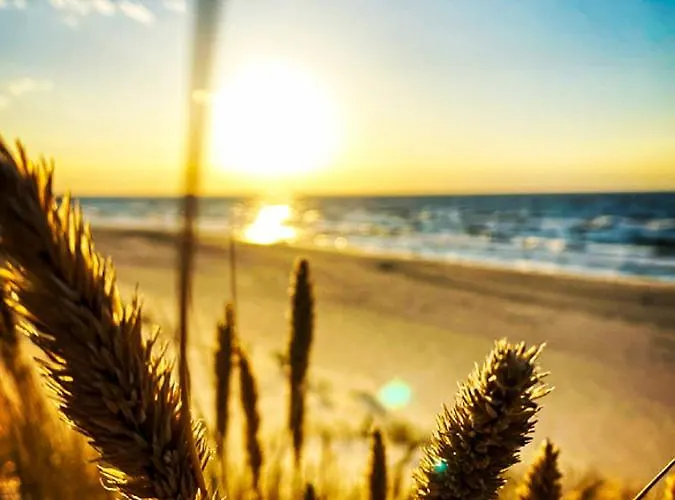 Seaview Gardenia - Widok Na Morze Διαμέρισμα *