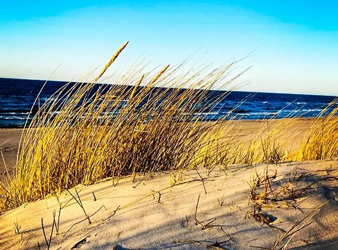 Seaview Gardenia - Widok Na Morze *